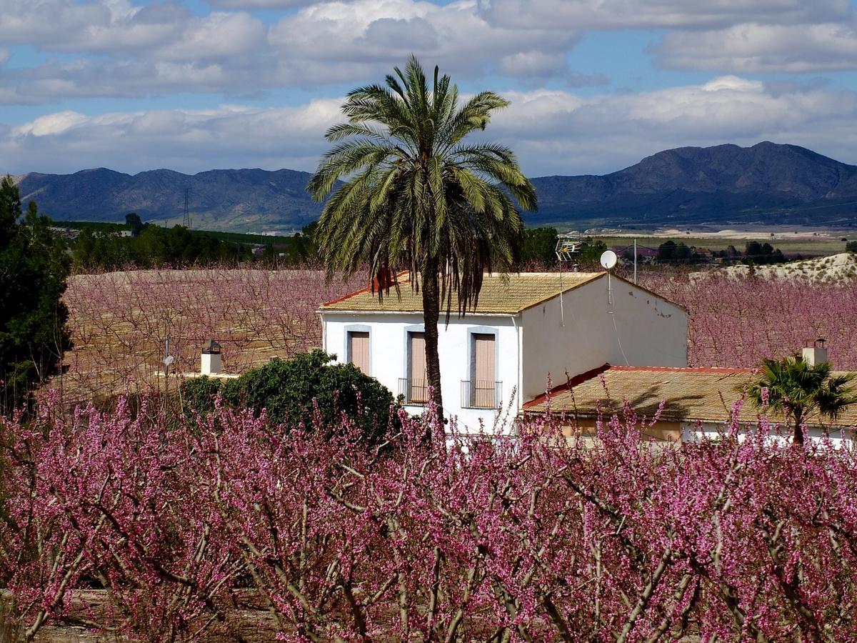 La Joya Del Valle De Ricote (Adults Only) Villanueva de Río Segura Exterior foto