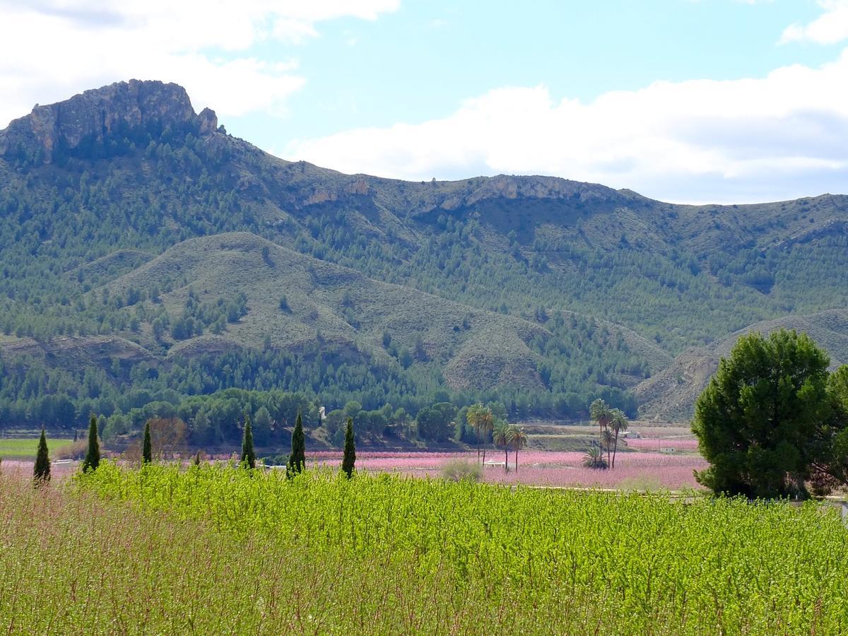 La Joya Del Valle De Ricote (Adults Only) Villanueva de Río Segura Exterior foto